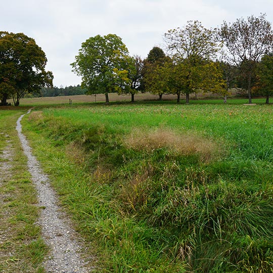 Estimation immobilière terrain non constructible